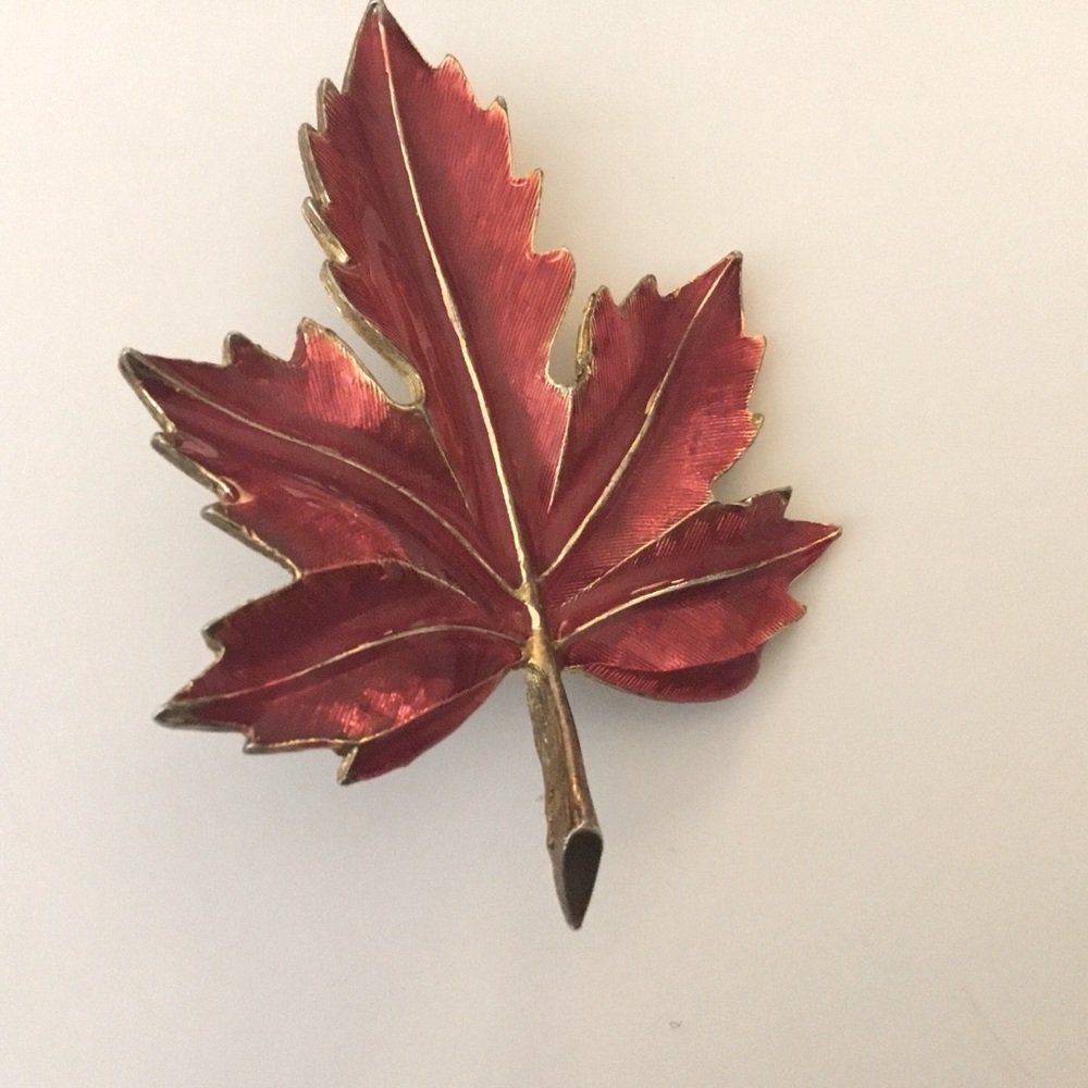 🍁 Estate Autumn Leaf Beautiful Red Color 🍁